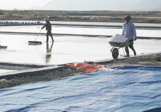 muối hạt ninh thuận