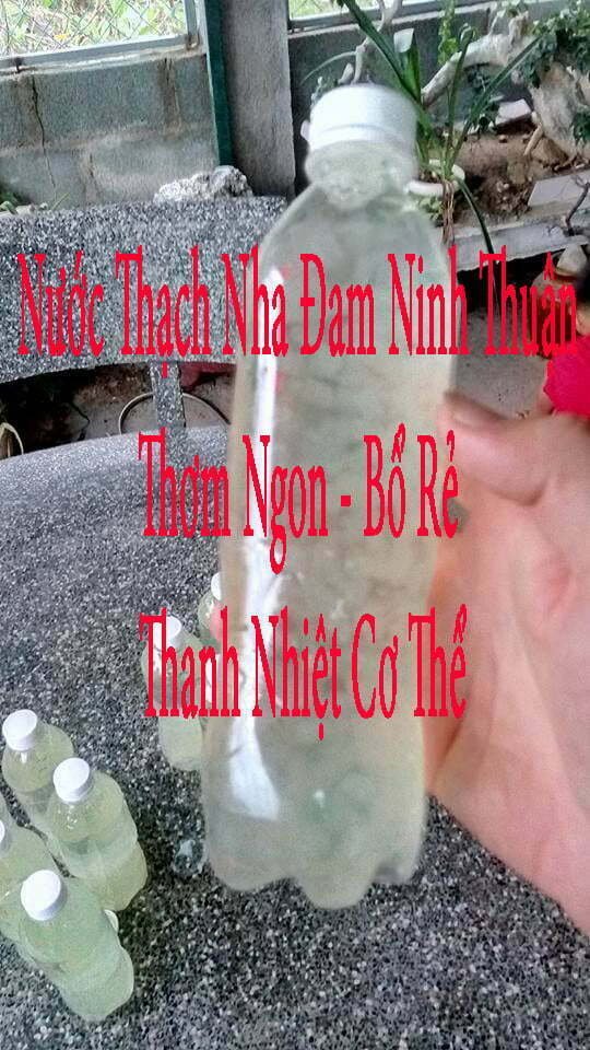 Chuyên cung cấp nước nha đam đóng chai