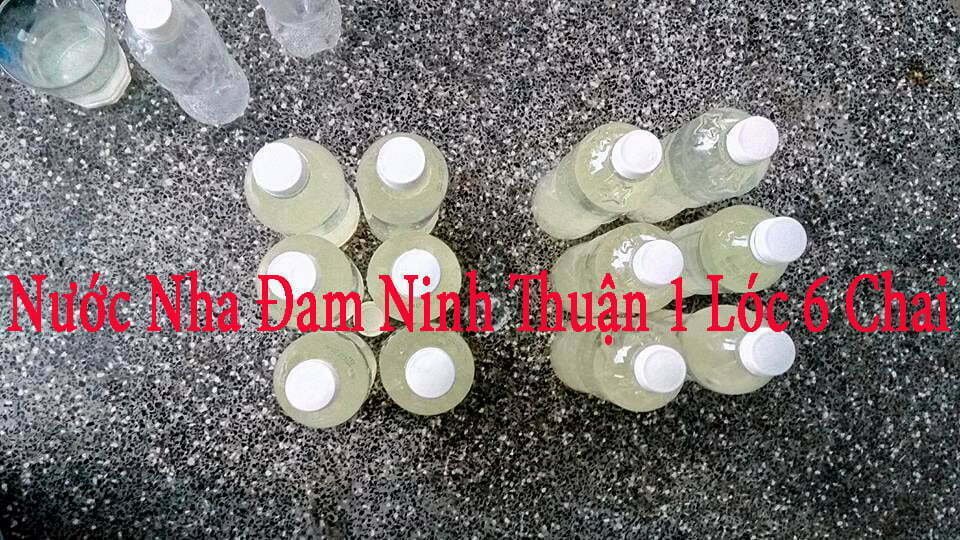 Chuyên cung cấp nước nha đam đóng chai