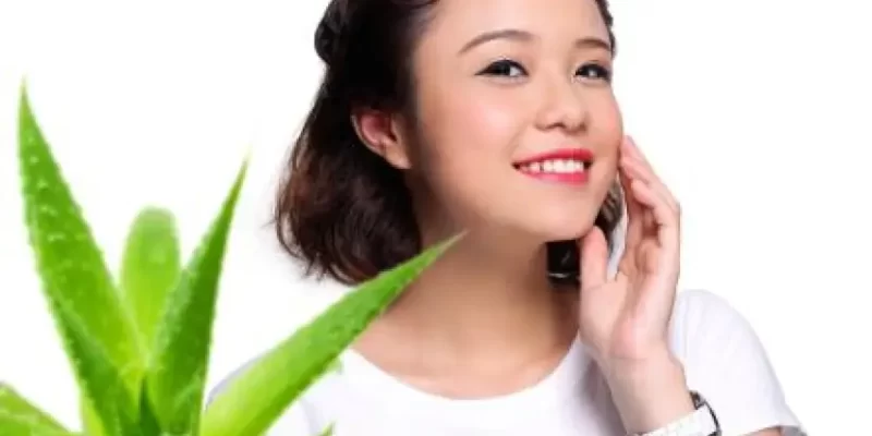 CÁCH LÀM MẶT NẠ NHA ĐAM TƯƠI