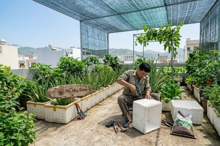 Cách đục lỗ thùng xốp trồng nha đam Thái chống úng