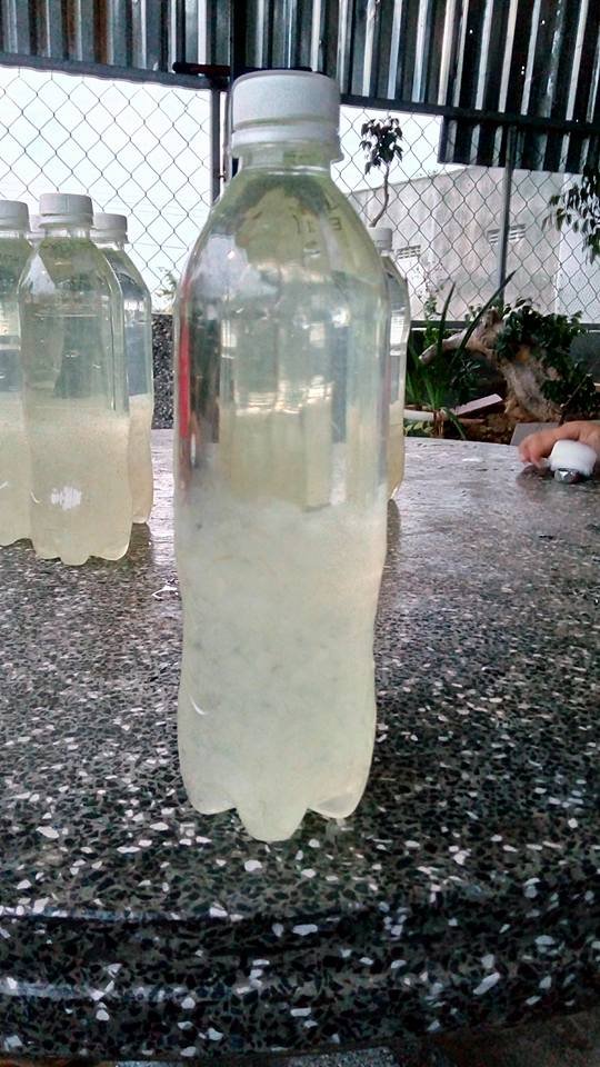 Cách làm nước nha đam lá dứa