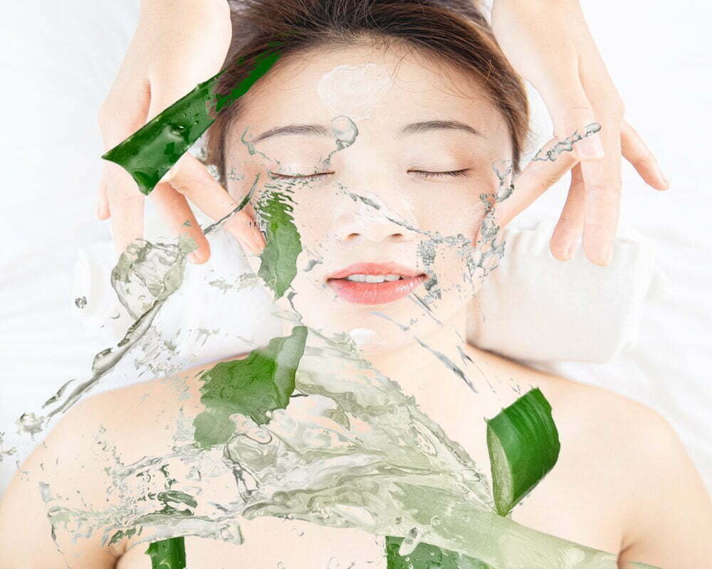 Bí Quyết Dùng Thạch Nha Đam Da Trắng Sạch Mụn-2