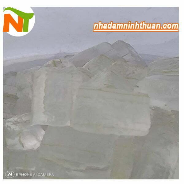 Hạt lựu để nấu nước nha đam đường phèn