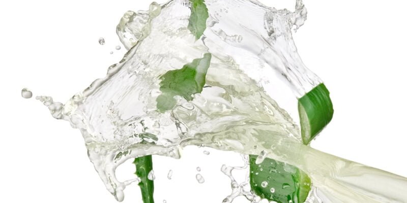 Uống Nước Nha Đam Giúp Giảm Tình Trạng Da Khô Bong Nứt