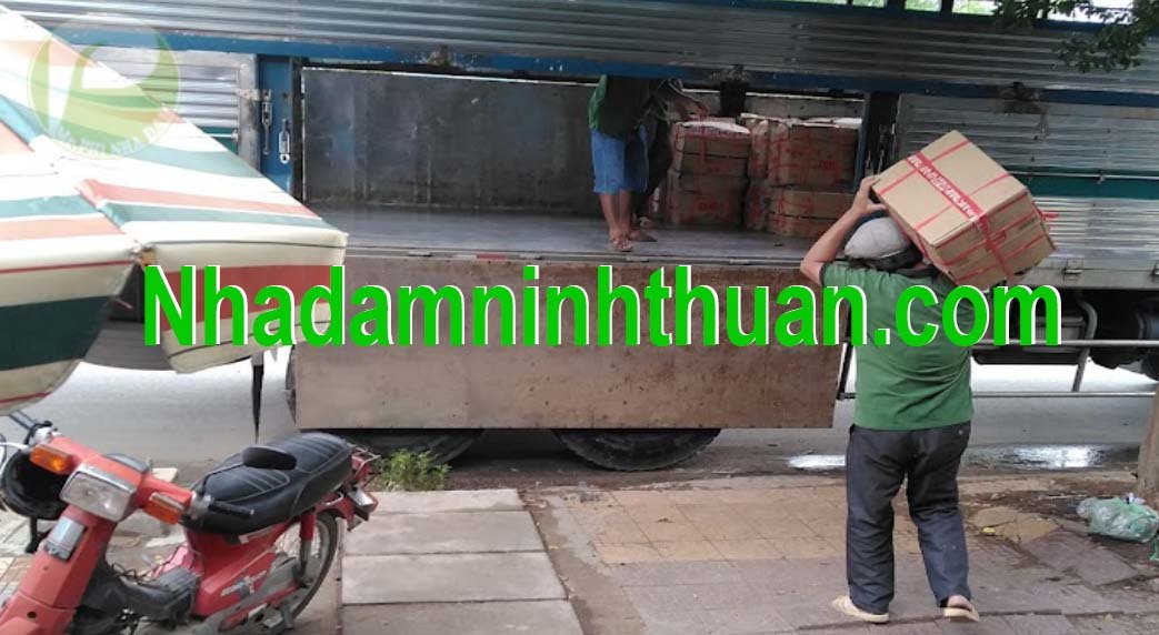 Đóng hàng lá Nha Đam thái hcm 1