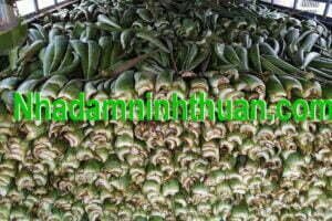 hàng lá Nha Đam thái tuyển chọn hàng chợ 7