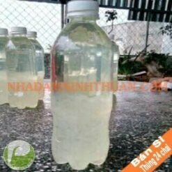 Nước Nha Đam 1 Thùng