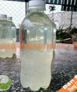 Nước Nha Đam 1 Thùng