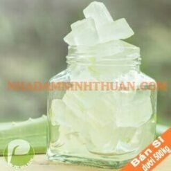 Thạch Nha Đam Kiện 100 KG