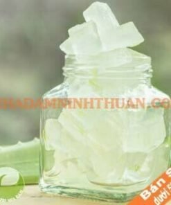 Thạch Nha Đam Kiện 100 KG