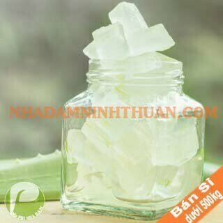 Thạch Nha Đam Kiện 100 KG