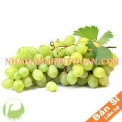 Nho Xanh Ninh Thuận
