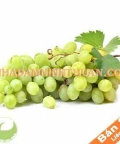 Nho Xanh Ninh Thuận