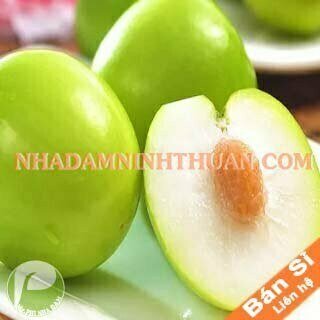 Táo Gió Ninh Thuận