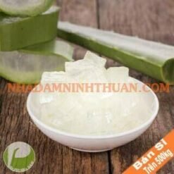 Thạch Nha Đam Trên 500 KG