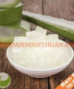 Thạch Nha Đam Trên 500 KG