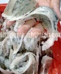 Yến Sào Ninh Thuận