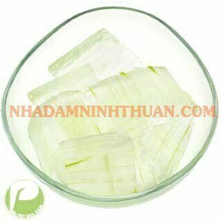 Thạch Nha Đam Bịch 1KG - Ảnh 2