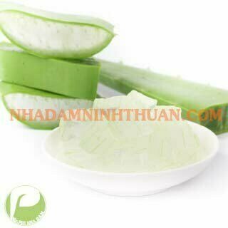 Thạch Nha Đam Bịch 1KG - Ảnh 3