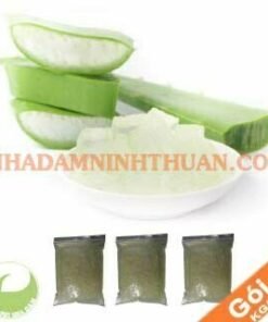 Thạch Nha Đam Bịch 10 KG