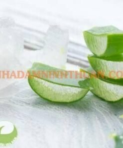 Alternative view of Thạch Nha Đam Kiện 100 KG