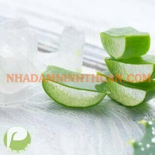 Thạch Nha Đam Kiện 100 KG - Ảnh 2