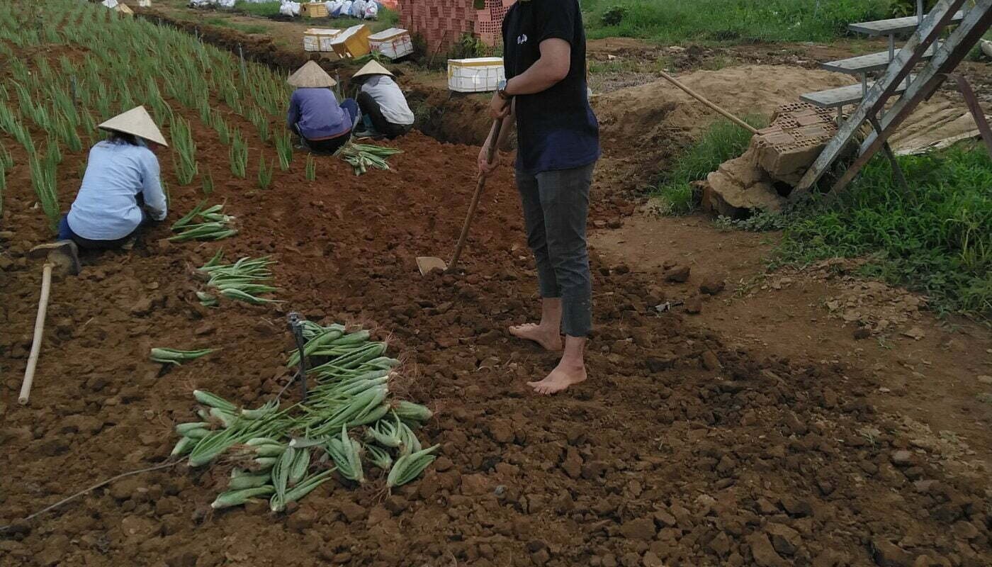 Tin tức về phi nha đam thái ninh thuận