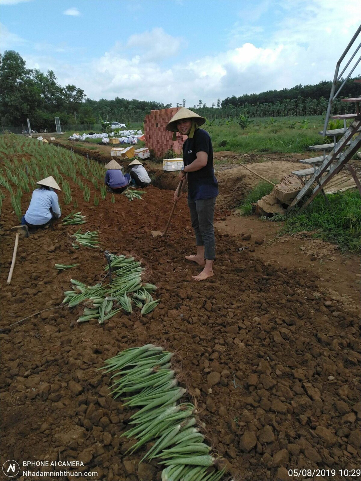 Tin tức về phi nha đam thái ninh thuận