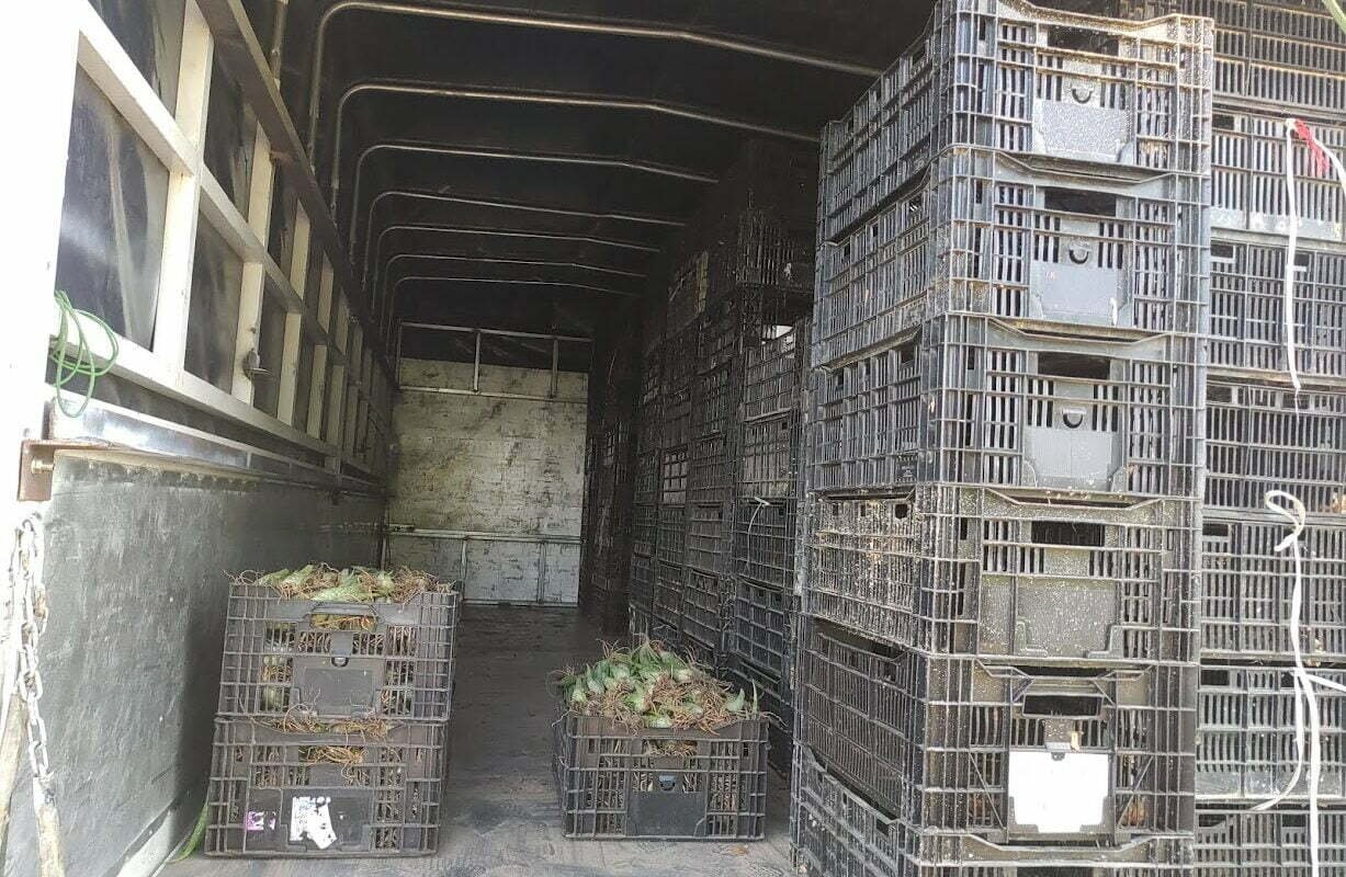 Chính sách vận chuyển