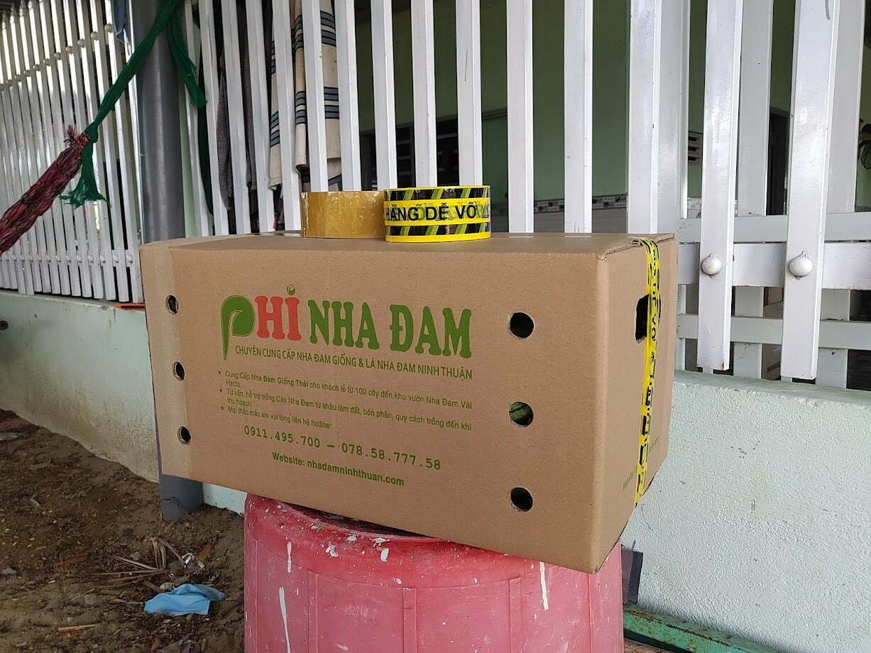 quy cách đóng thùng hàng nha đam thái