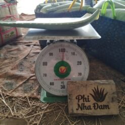 Lá Nha Đam Thái Tuyển Chọn 10