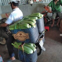 Lá Nha Đam Thái Tuyển Chọn 11