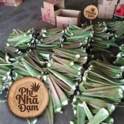 Lá Nha Đam Thái Tuyển Chọn 18