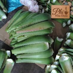 Lá Nha Đam Thái Tuyển Chọn 5