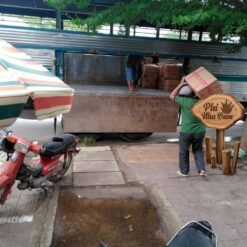 Lá Nha Đam Thái Tuyển Chọn 6