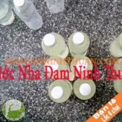 Nước Nha Đam 1 Lốc