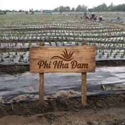 Mô hình Vườn Nha Đam 1 hecta 2