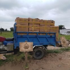 Mô hình Vườn Nha Đam 1 hecta 8