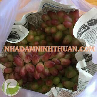 Nho Móng Tay Hồng Nhật Ninh Thuận - Ảnh 8