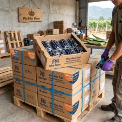 Nông Sản Nho Kẹo Đen Ninh Thuận - Khánh Hòa 2