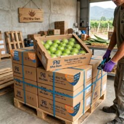 Nông Sản Táo Xanh Ninh Thuận - Khánh Hòa 2
