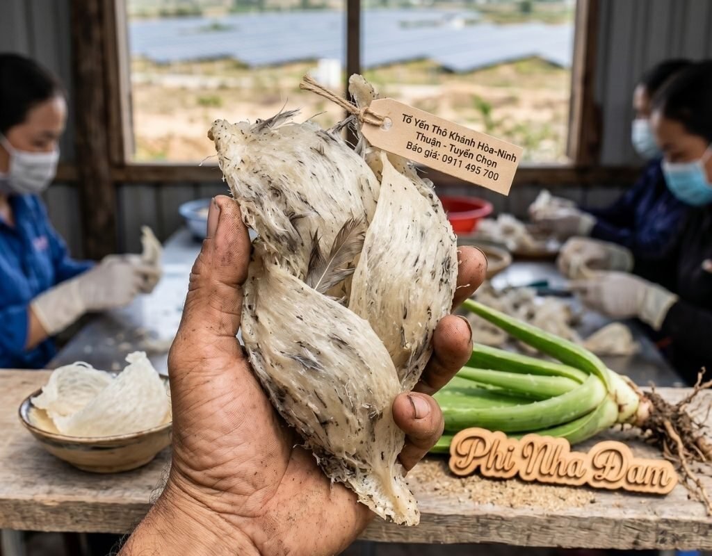 Nông Sản Tổ Yến Ninh Thuận - Khánh Hòa 1