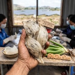 Nông Sản Tổ Yến Ninh Thuận - Khánh Hòa 1