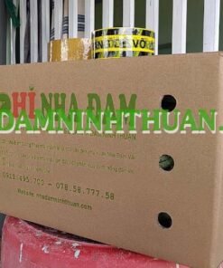 Alternative view of 50 Cây Nha Đam Giống Thái 4 Đến 6 Tháng Tuổi