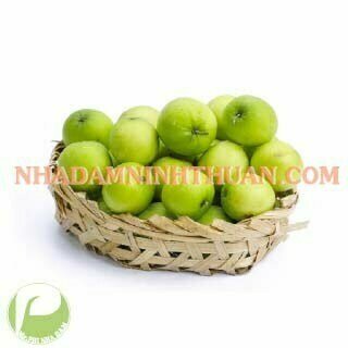 Táo Gió Ninh Thuận - Ảnh 6