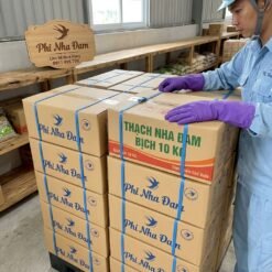 Thạch Nha Đam Bịch 10KG Sỉ 1