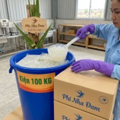 Thạch Nha Đam Bịch 10KG Sỉ 3