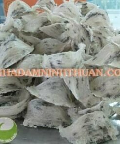 Tổ Yến Sào Ninh Thuận