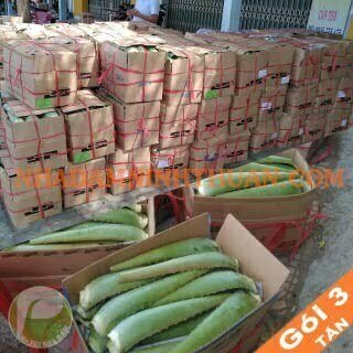 Nguyên Liệu Lá Nha Đam Thái 3 Tấn